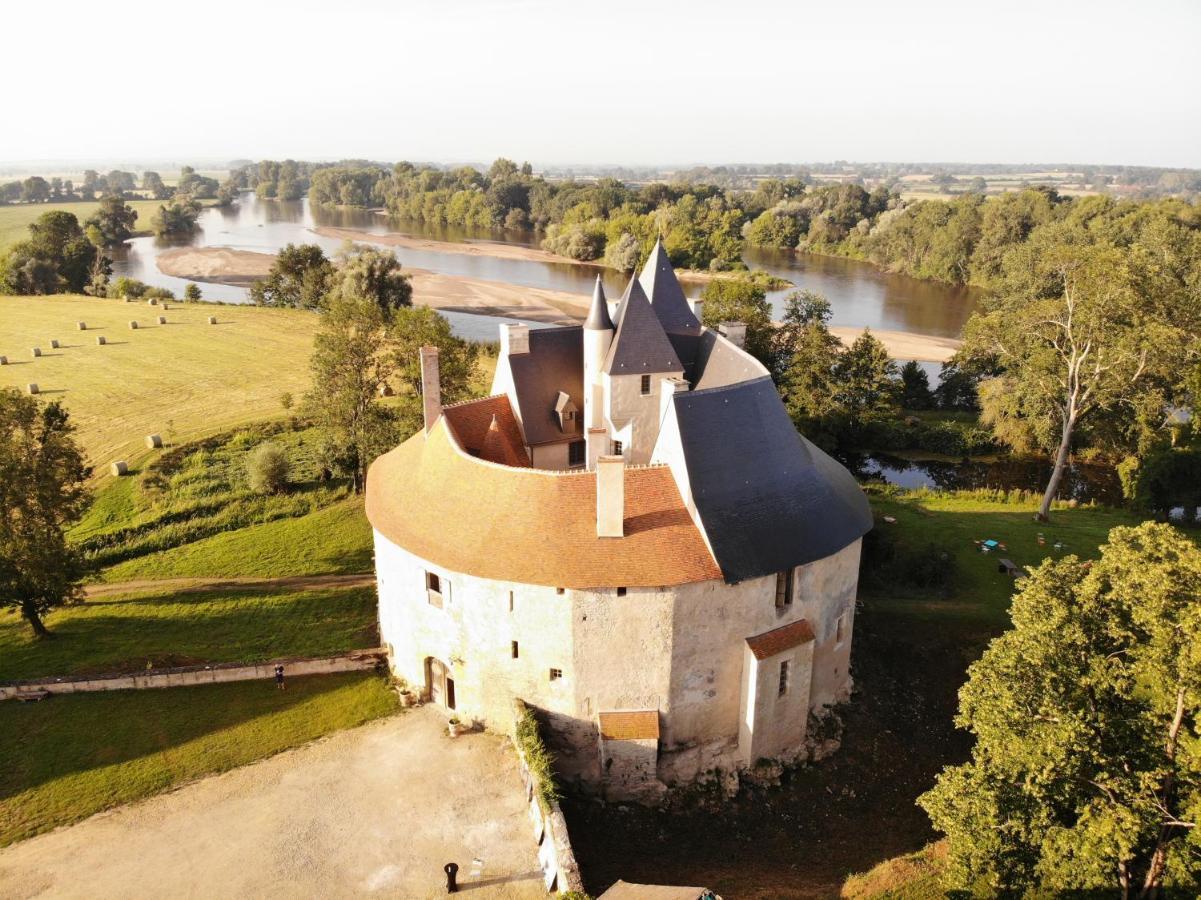 Un Chateau En Bourgogne Saincaize-Meauce Dış mekan fotoğraf