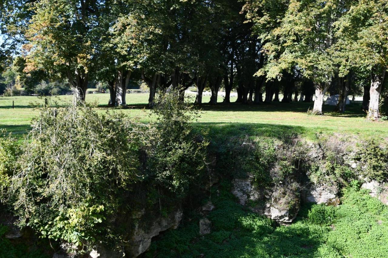 Un Chateau En Bourgogne Saincaize-Meauce Dış mekan fotoğraf