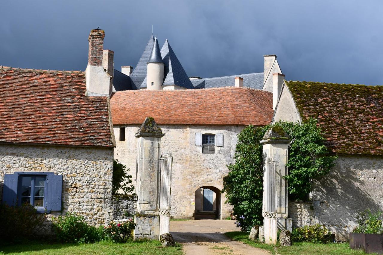 Un Chateau En Bourgogne Saincaize-Meauce Dış mekan fotoğraf