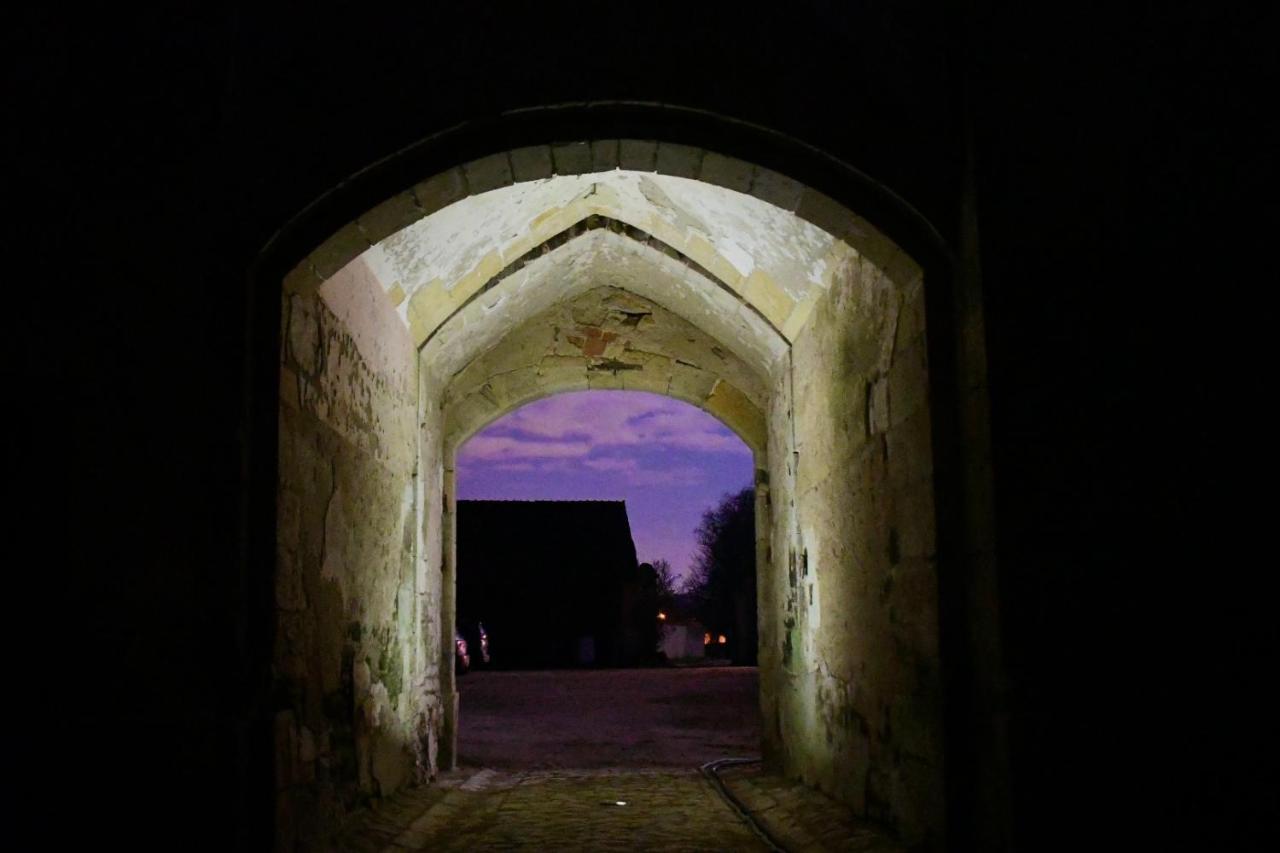 Un Chateau En Bourgogne Saincaize-Meauce Dış mekan fotoğraf
