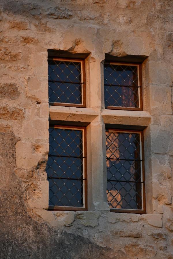 Un Chateau En Bourgogne Saincaize-Meauce Dış mekan fotoğraf