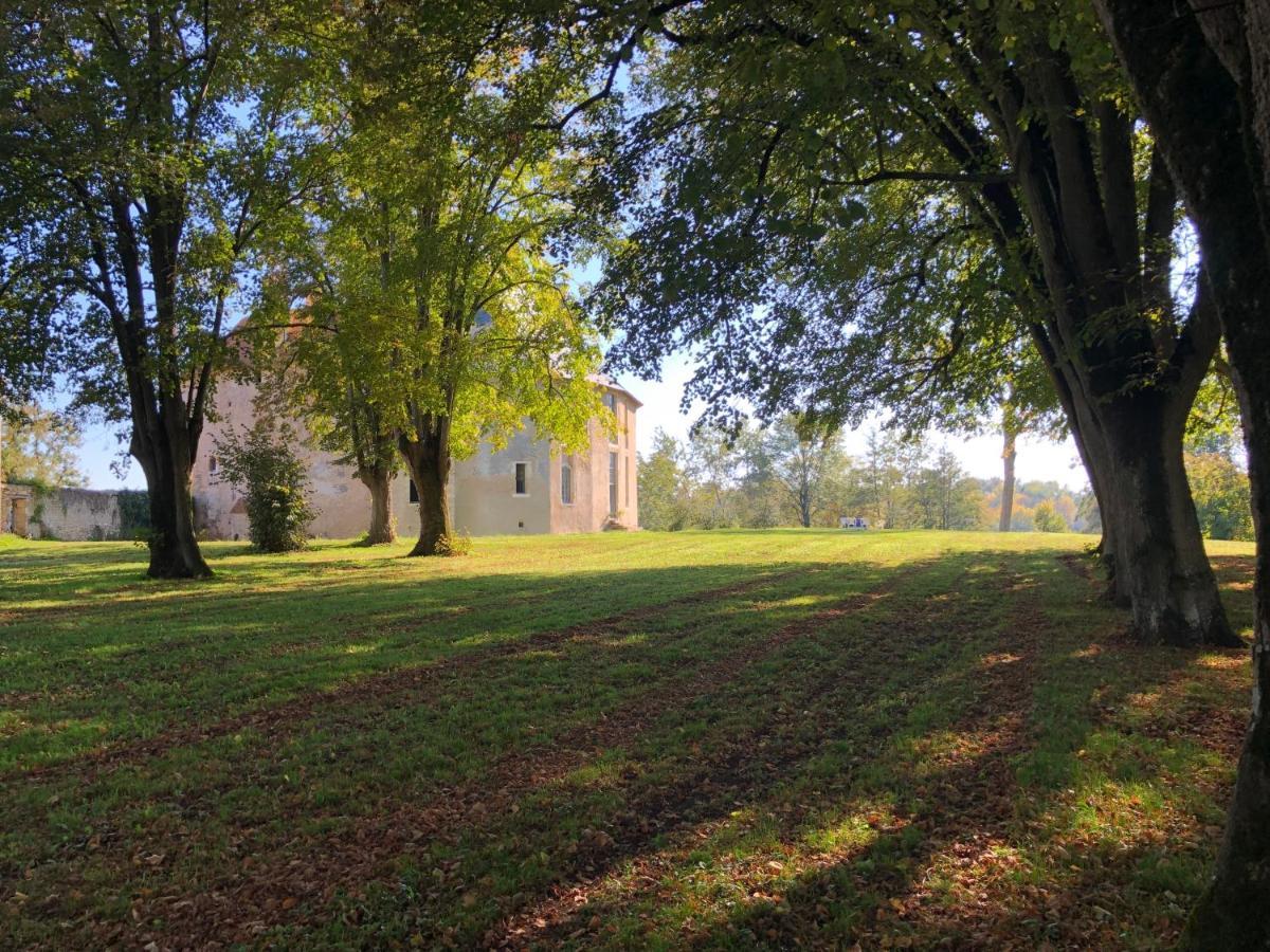 Un Chateau En Bourgogne Saincaize-Meauce Dış mekan fotoğraf