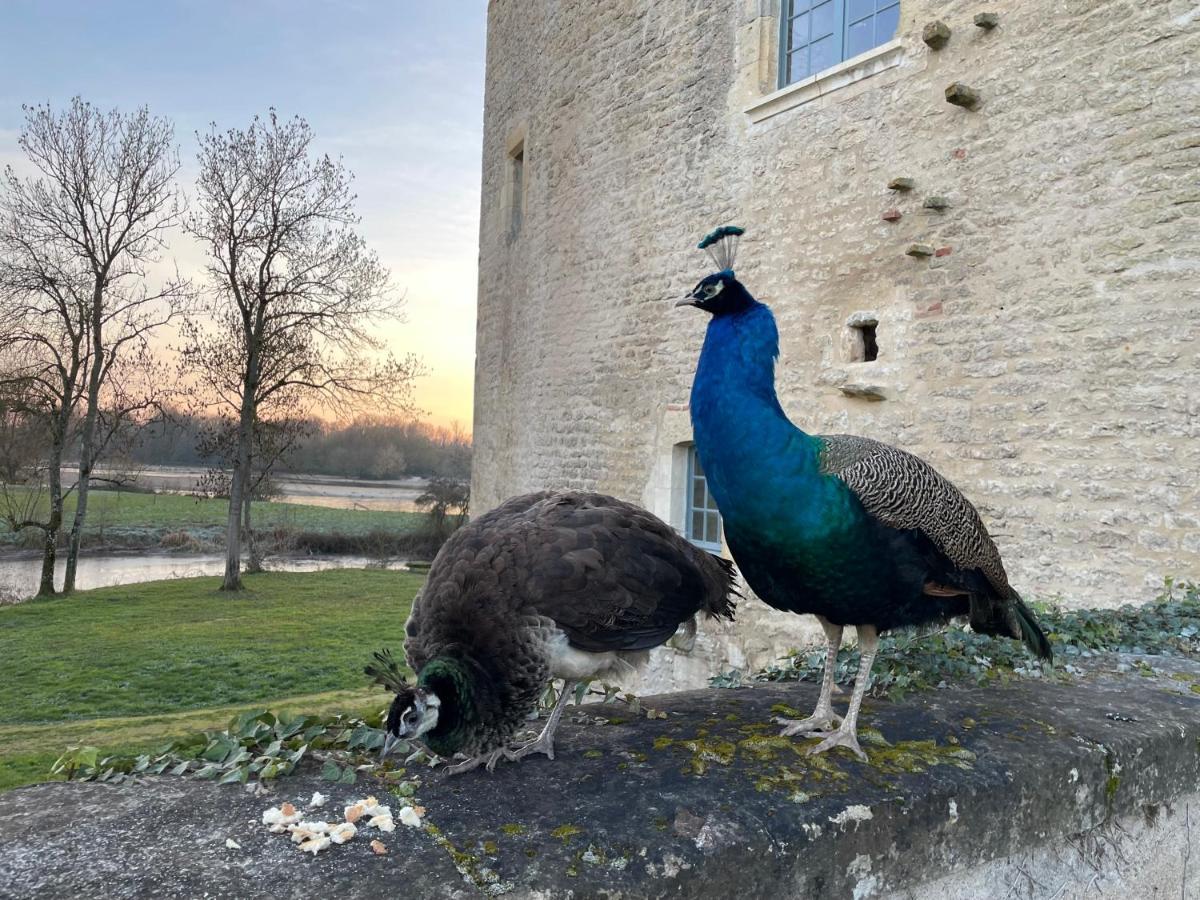 Un Chateau En Bourgogne Saincaize-Meauce Dış mekan fotoğraf